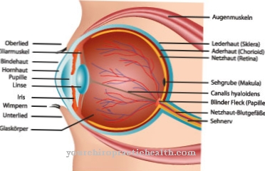 látási szervek újszülöttekben látás kezelés nélkül