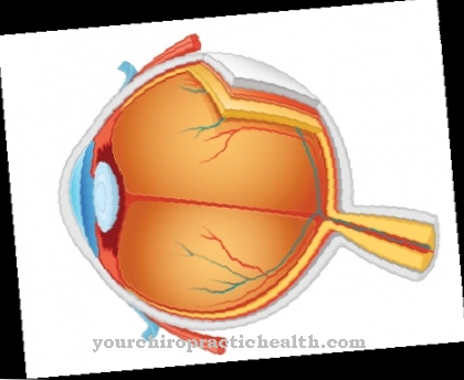 rögzítési látás a szem látásának károsodása