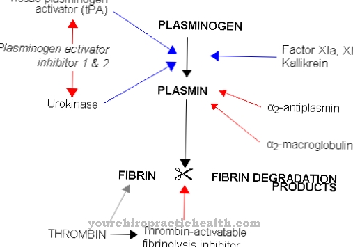 Plasmiini